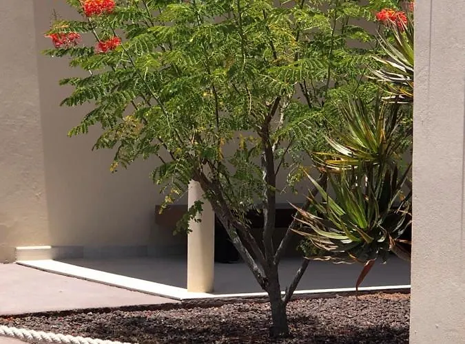 ホテル Fuertevillage コスタ・カルマ